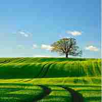 网​站‍访‍问​速‍度‌慢﻿怎‍么‍办﻿